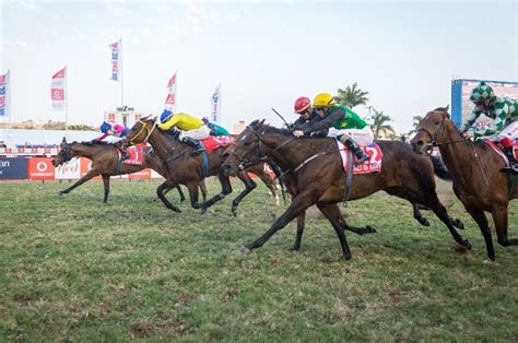 Odds, draw, weights and three selections .